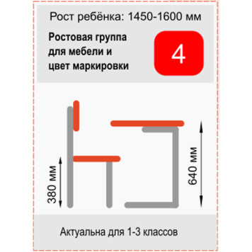 Стол ученический одноместный регулируемый Стандарт Ростомат 3-5 бук-серый-2