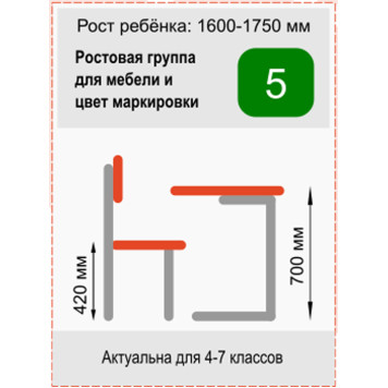 Стол ученический одноместный регулируемый Стандарт Ростомат 3-5 бук-серый-3