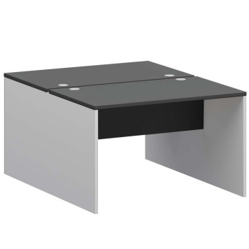 Бенч двойной СМСР25-2.12.60 Тип1 графит/белый
